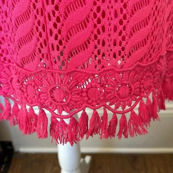 Lilly Pulitzer Pink Lace Dress - Picture 9 of 9